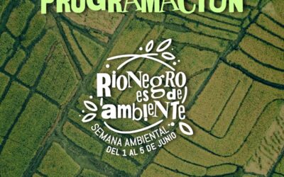 Semana Ambiental en Rionegro del 1 al 5 de junio