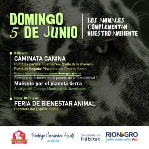 SEMANA AMBIENTAL 6